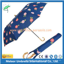 Promotion Bambus Griff Handbuch 2 Falten Regen Regenschirm